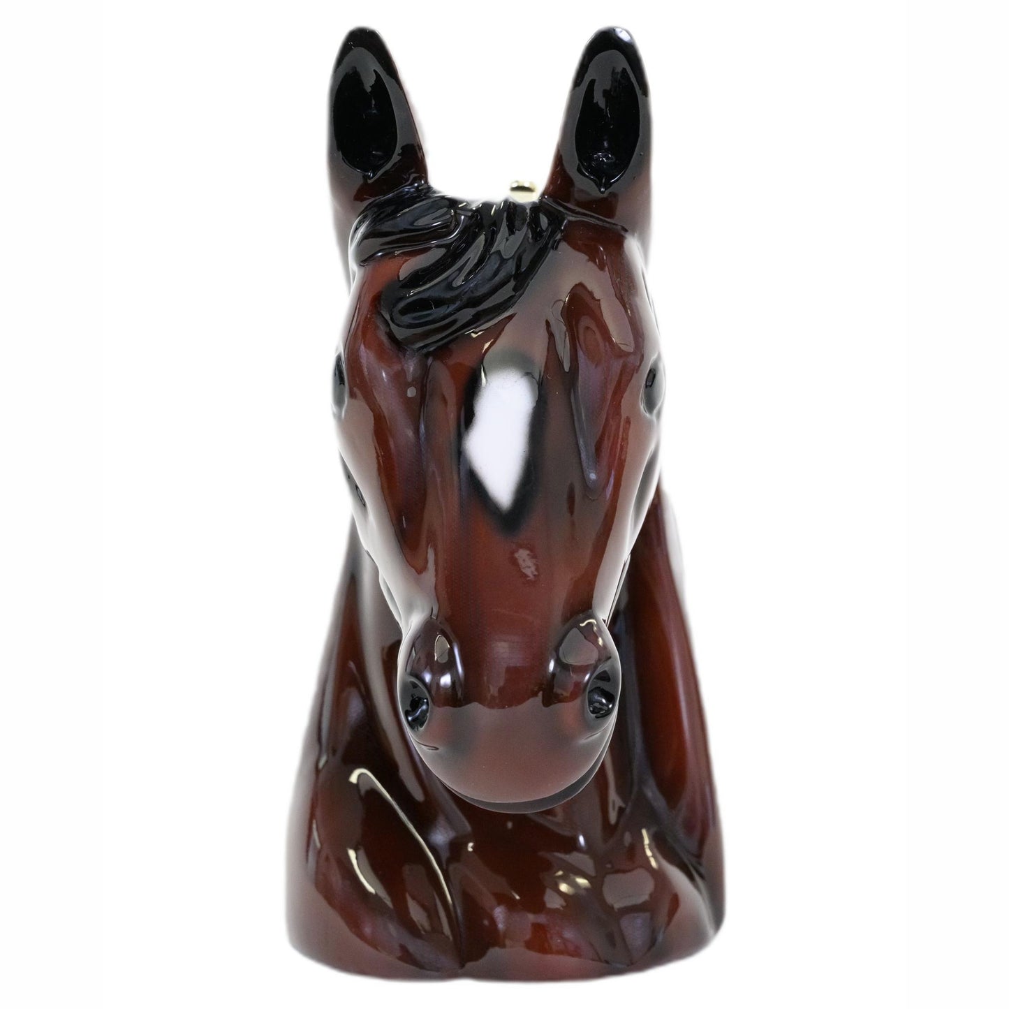 Secretariat Horse